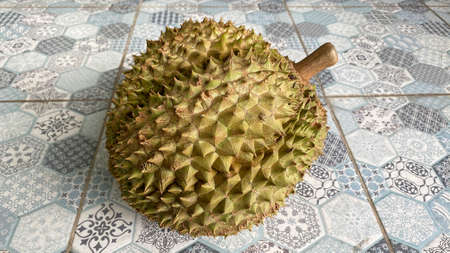 Durian isolated from white background. Durians is the king of fruits, asian fruit of tropical. Thai sweet foodの写真素材