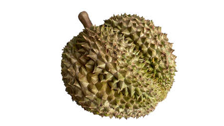 Durian isolated from white background. Durians is the king of fruits, asian fruit of tropical. Thai sweet foodの写真素材