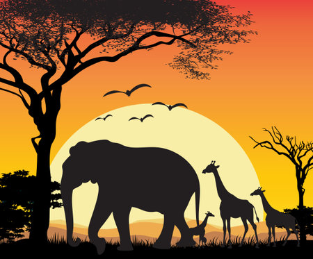 Silhouette of african animals at sunset. Vector illustration.のイラスト素材