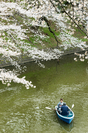 Tokyo, Japan - March 23, 2013  Japanese people paddling boat in river to see Sakura blossom at Kudanshita, Tokyo, Japanのeditorial素材