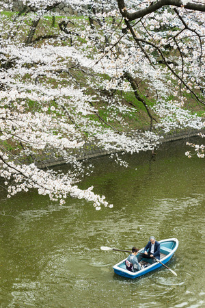 Tokyo, Japan - March 23, 2013  Japanese people paddling boat in river to see Sakura blossom at Kudanshita, Tokyo, Japanのeditorial素材