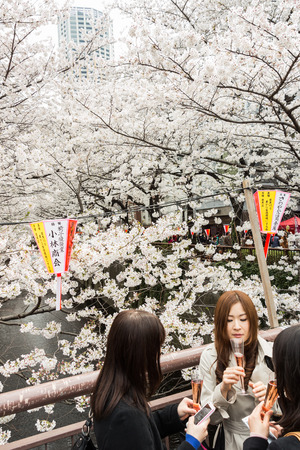 Tokyo, Japan - March 24, 2013  Japanese people is coming to see Sakura blossom along Meguro River in Nakameguro,Tokyo, Japanのeditorial素材