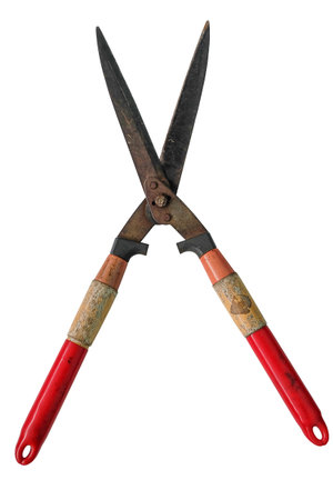 Old Scissors to cut the grass isolated on white background, Large grass cutting scissors