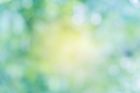 Abstract natural green bokeh background.の写真素材