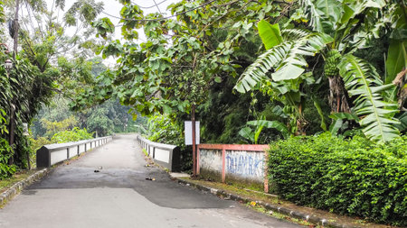 Road in the rainforest of the island of Borneo.