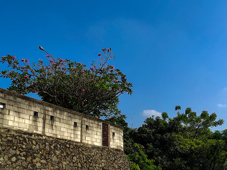 A high angle shot of a stone wall with flowers under the blue skyの写真素材