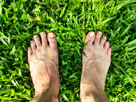 Foot on green grash at the morningの写真素材