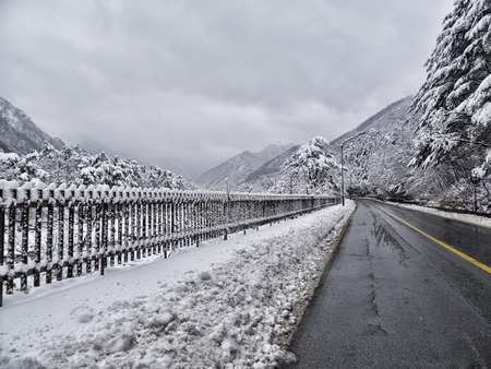 Snow-covered forest road in mountains. Seoraksan National Park. South Korea.の写真素材