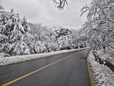 Snow-covered forest road in mountains. Seoraksan National Park. South Korea.の写真素材