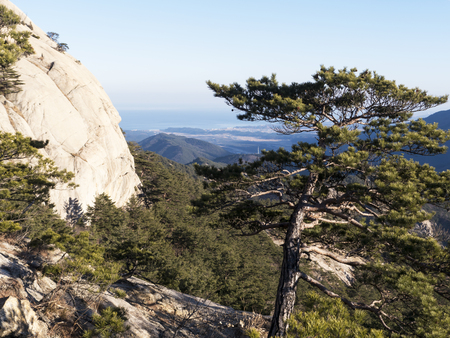 The bay of Sokcho city. January 2017の写真素材