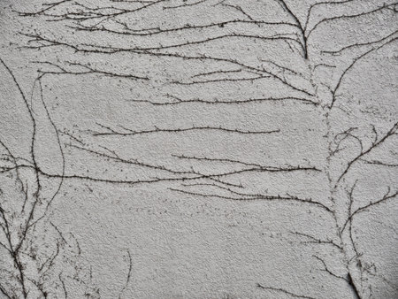 Old grey wall as a background texture