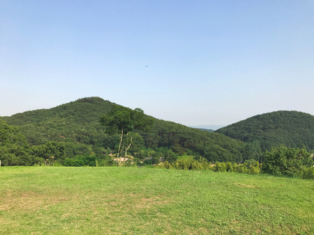 Panorama. Summer green landscape in South Koreaの写真素材