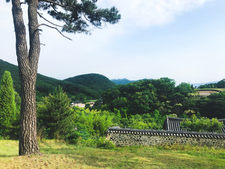 Summer green landscape in South Koreaの写真素材