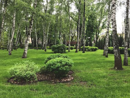 Summer day in Gorky Park, Kharkov city, Ukraineの写真素材