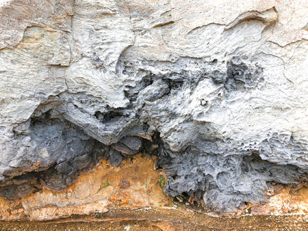 Solidified lava in Jeju island. South Korea. Close-up