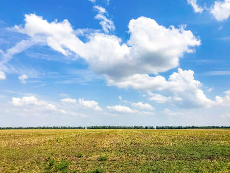 Beautiful view of the horizon in the Russian fieldの写真素材