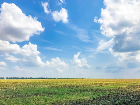 Beautiful view of the horizon in the Russian fieldの写真素材