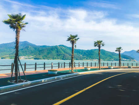 Beautiful promenade with palm trees. South Koreaの写真素材