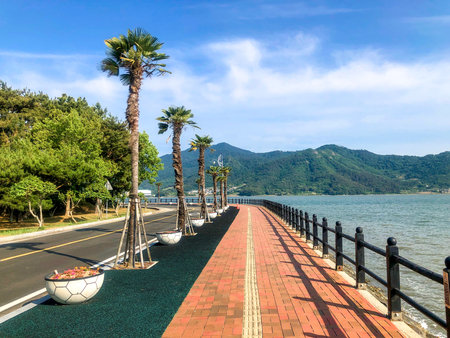 Beautiful promenade with palm trees. South Korea