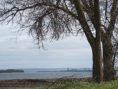 Trees and Volga river on the backgroundの写真素材