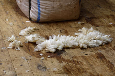 Some bits of fleece sit on the shearing shed floor in front of a wool baleの写真素材