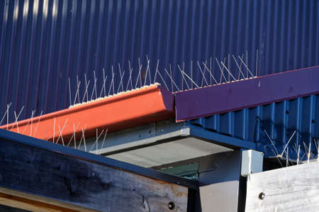 The wired bird protection is seen against the dark blue roof, the wires prevent the birds from roosting without hurting themの写真素材