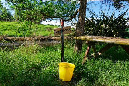 A yellow bucket sits under a tap with a sign saying Dogs Drinking Water in a public park.の写真素材