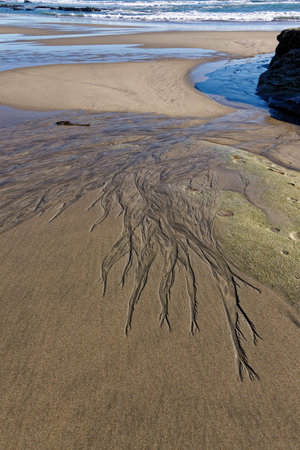 Patterns in the sand