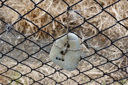 A hagstone hanging on a wire fence