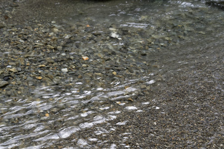 Grey stones form the bed of a shallow river