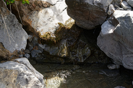 Rocks have water trickling through them into the pond below