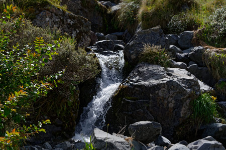 Dark wet rocks have white water running through them