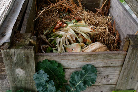 Scraps and plant matter are breaking down in this household compost binの写真素材