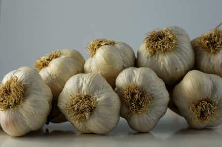 Garlic bulbs plaited together for easy storageの写真素材
