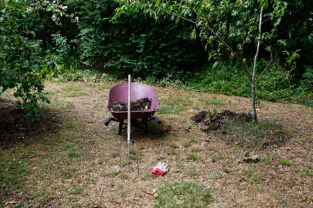 Tea break, a pair of garden gloves are on the ground near a wheelbarrow with a pitchfork leaning...