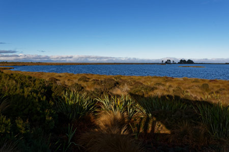 Looking out over Waituna Lagoon, Awarua Wetland, Southland, New Zealand