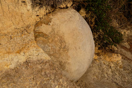 Moeraki's round boulders are formed through the geological process called calcite concretionの写真素材