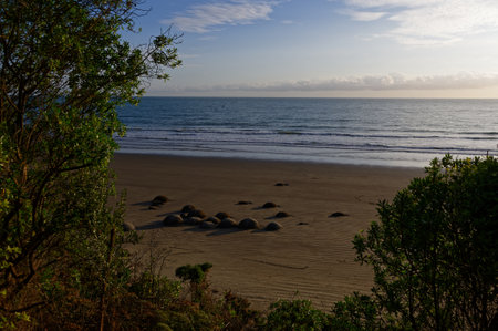 Moeraki's round boulders are formed through the geological process called concretionの写真素材