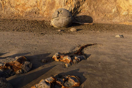 A Moeraki Boulder is jutting out from the cliff where it was formed centuries millions of years agoの写真素材