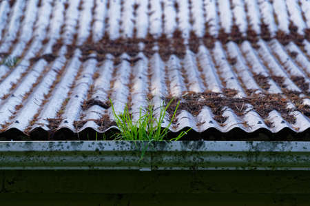 Grass is growing out of a gutter, it needs to be cleared for winterの写真素材