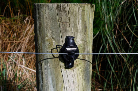 A insulator on a fence post has an electric wire running through itの写真素材