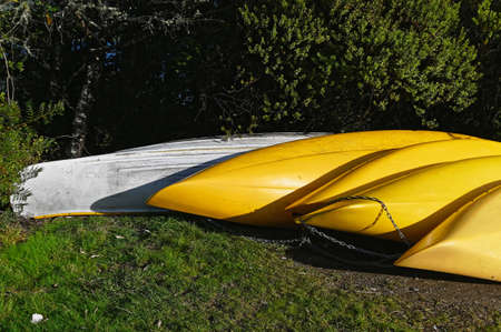 Yellow and white kayaks lie upside down so they won't fill up with water and debris. They are chained together so the won't get stolen or moved.の写真素材