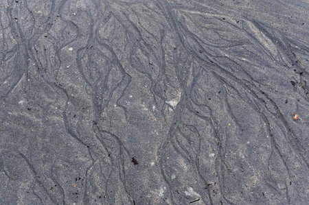 Sand patterns that look like dendrites are formed when the tide goes out at the beach.