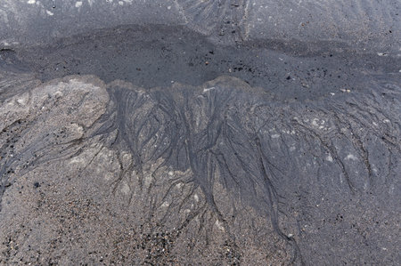 A pattern on the sand looks like trees or dendrites.