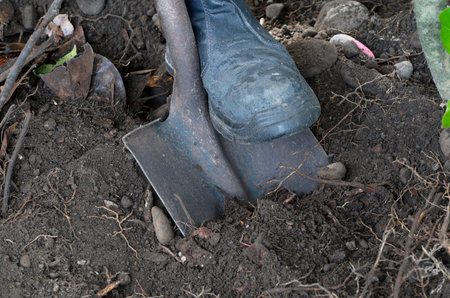Earth or soil is being dug using a shovel and energy, the garden is being dug or construction is startingの写真素材