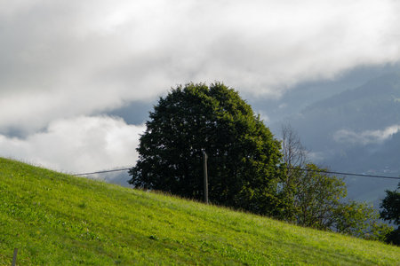 Vista over the Austrian mountains, just after sunrise.の写真素材