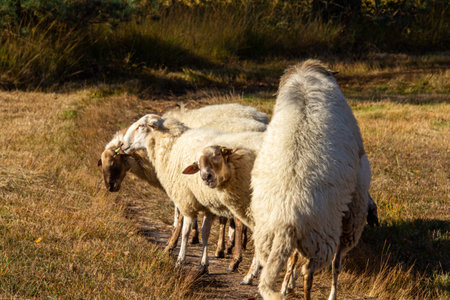 Hey what are you doing?の写真素材