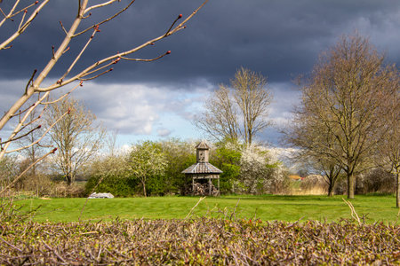 Hail storm in the spring season.の写真素材