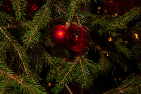 Home improvement with christmas adornmentsの写真素材