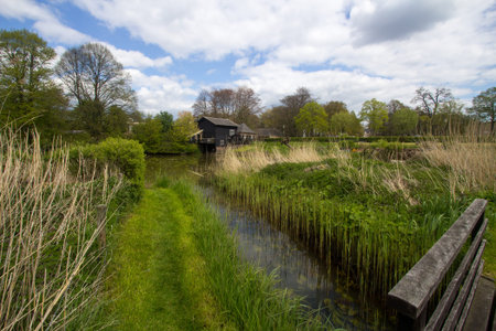 Polderlandscape with watermill n the Achterhoekのeditorial素材
